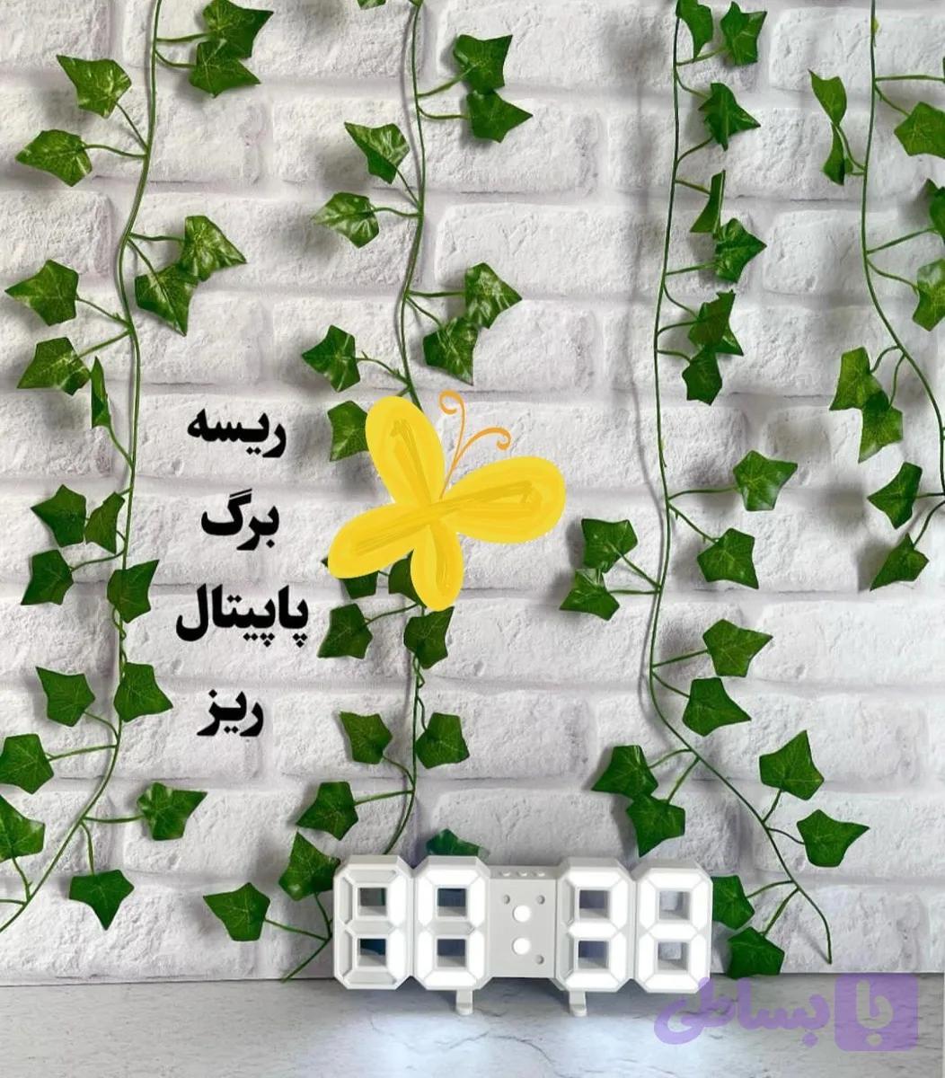 ریسه برگ پتوس و پاپیتال