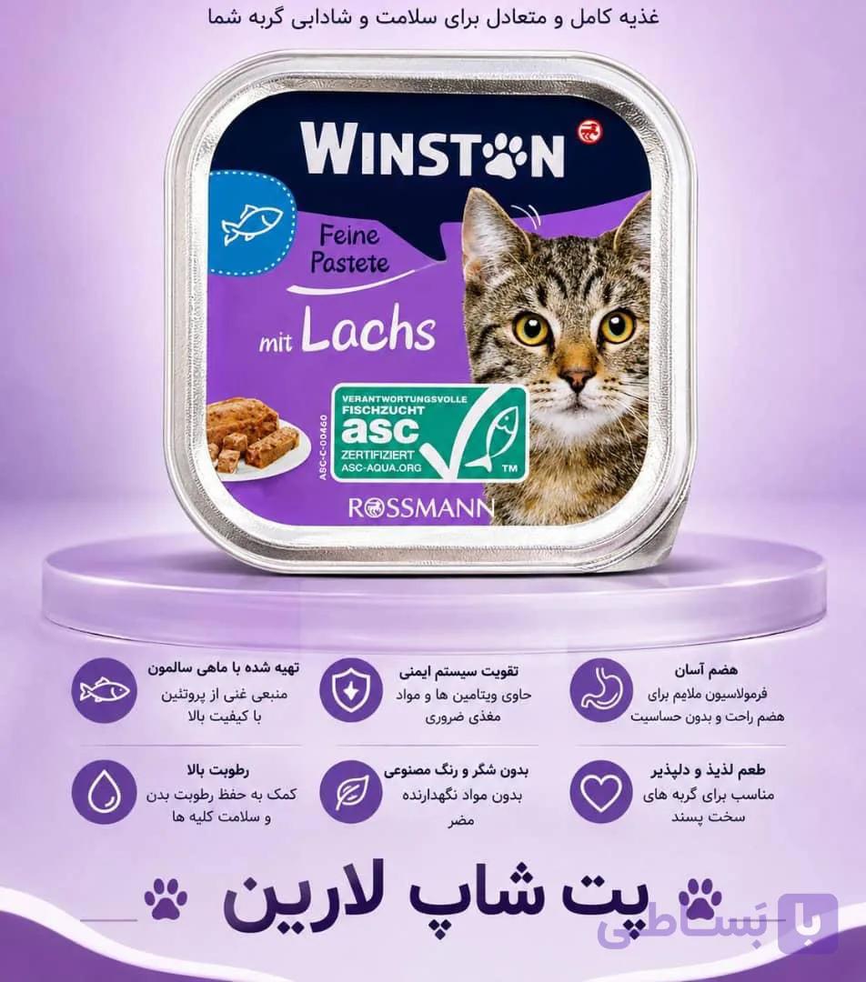 ووم گربه ۱۰۰گرمی وینستون با طعم سالمون