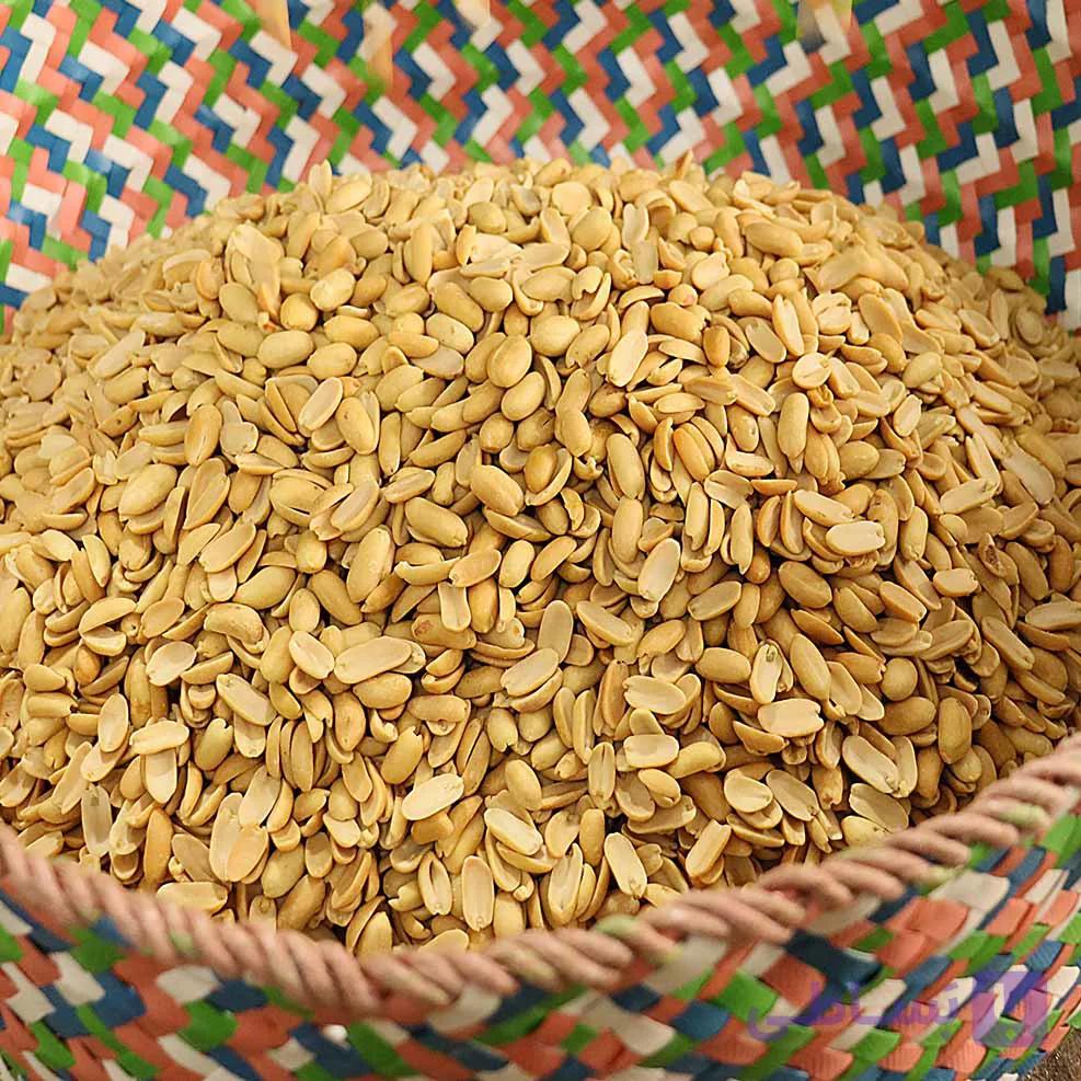 بادام زمینی مخصوص کره‌ گیری ایرانی عمده (25 کیلویی) — تصویر 1