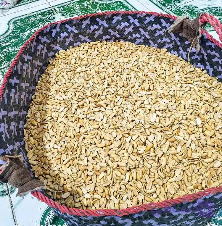 بادام زمینی مخصوص کره گیری ۱۰ کیلویی سوپر ممتاز – ویژه عطاری و کافه