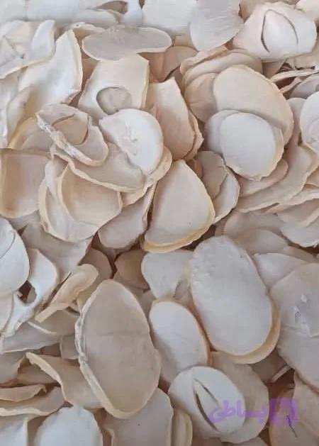 موسیر پلاکی درجه ۱
