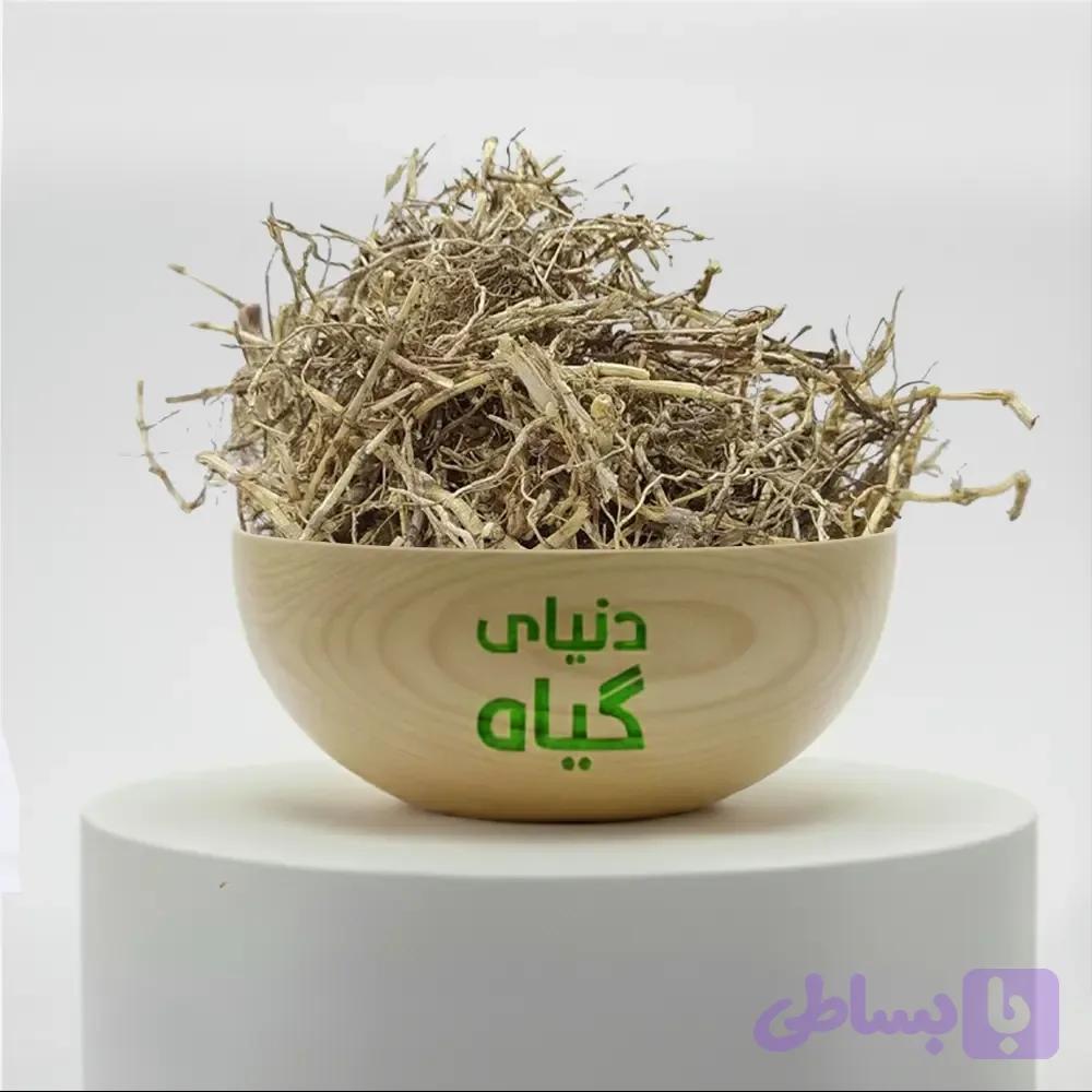ریشه فرز (مرغ)