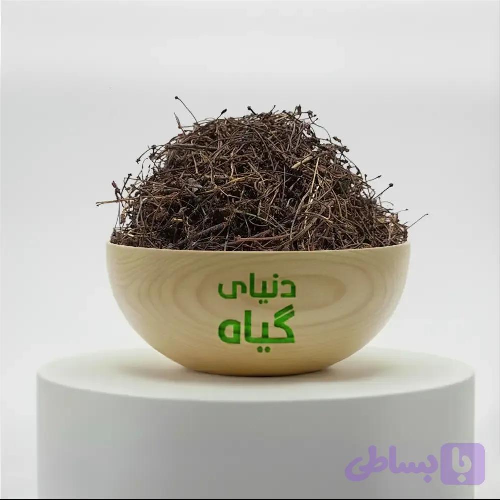 دم گیلاس