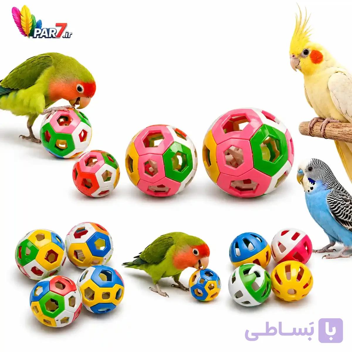 توپ بازی طوطی — تصویر 1