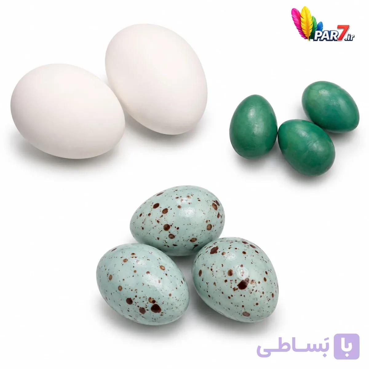 تخم مصنوعی ، قناری، کبوتر