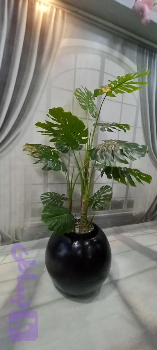 درختچه مصنوعی انجیری ۱۳۰ باظاهری طبیعی وقابل شستشو