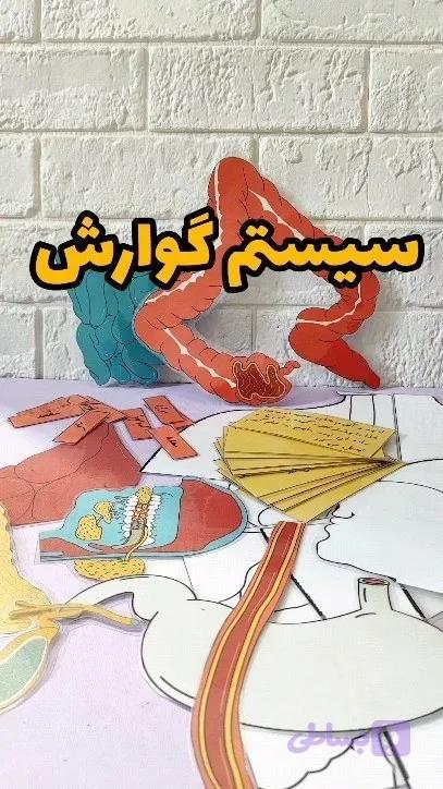 سیستم گوارش