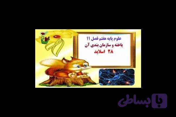 علوم پایه هفتم فصل 11 یاخته و سازمان بندی آن 28 اسلاید