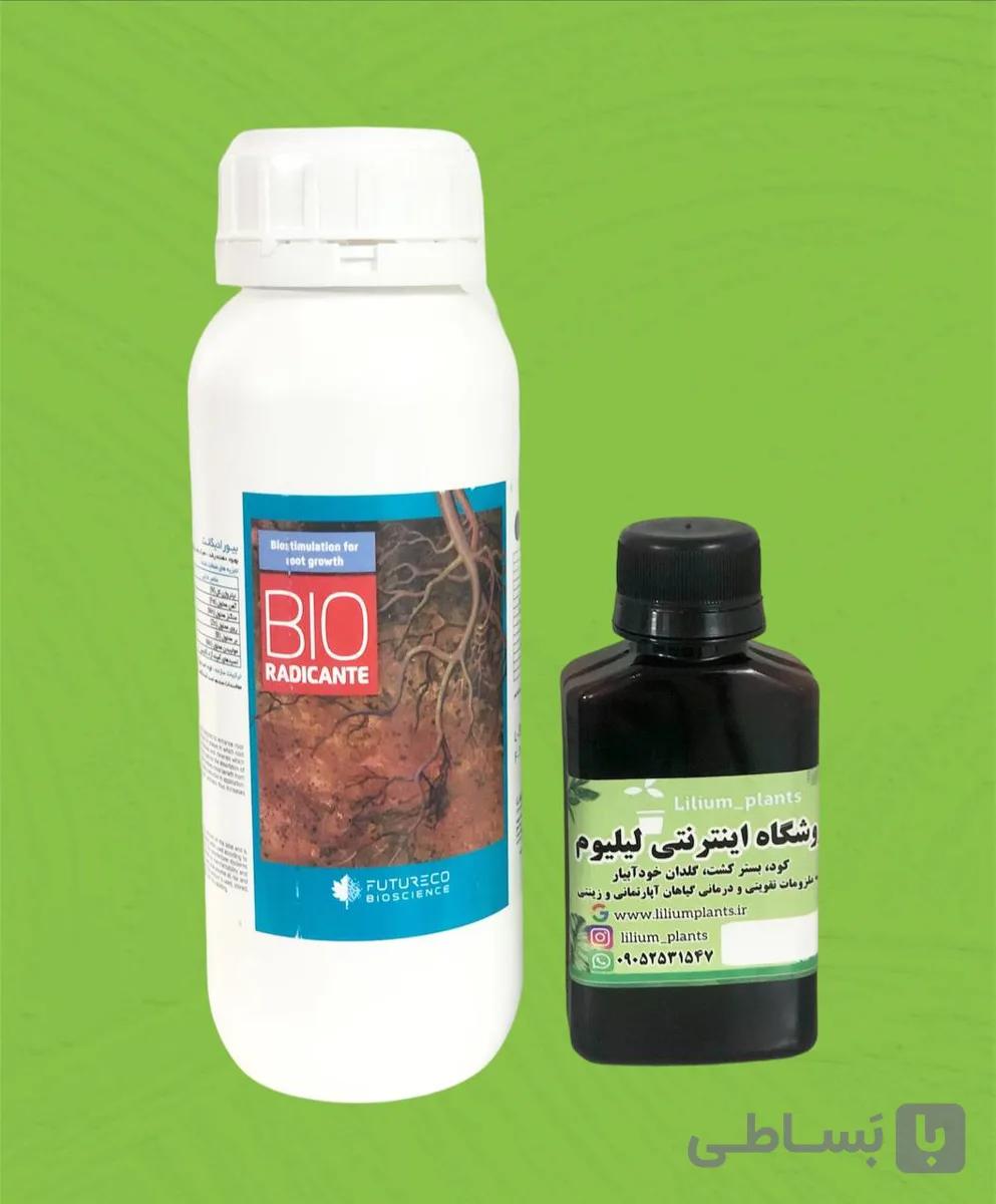 کود مایع ریشه زا بیورادیکانت اریجینال اسپانیا 60 میلی لیتر