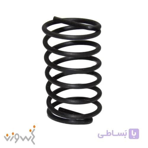 فنر یاتاقان لغزنده سرکیسه چینی
