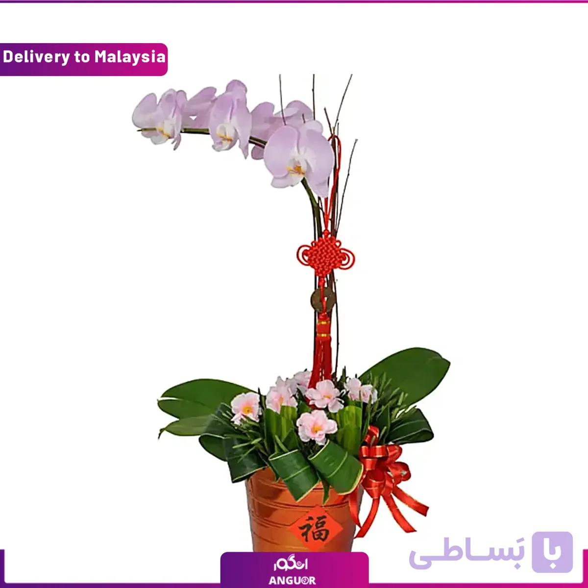 گل ارکیده (ارسال گل به مالزی)