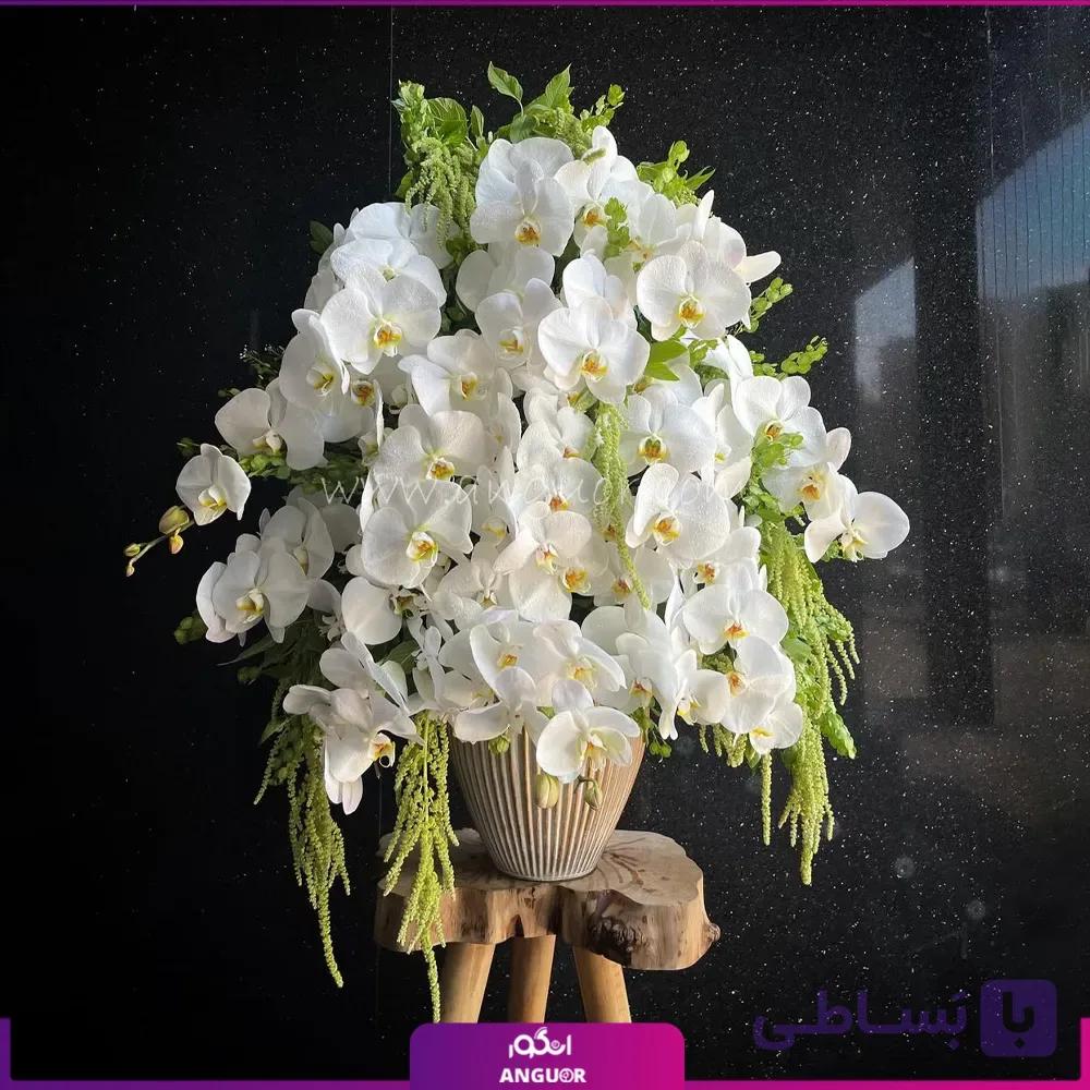 جام گل خواستگاری با 70 عدد ارکیده — تصویر 1