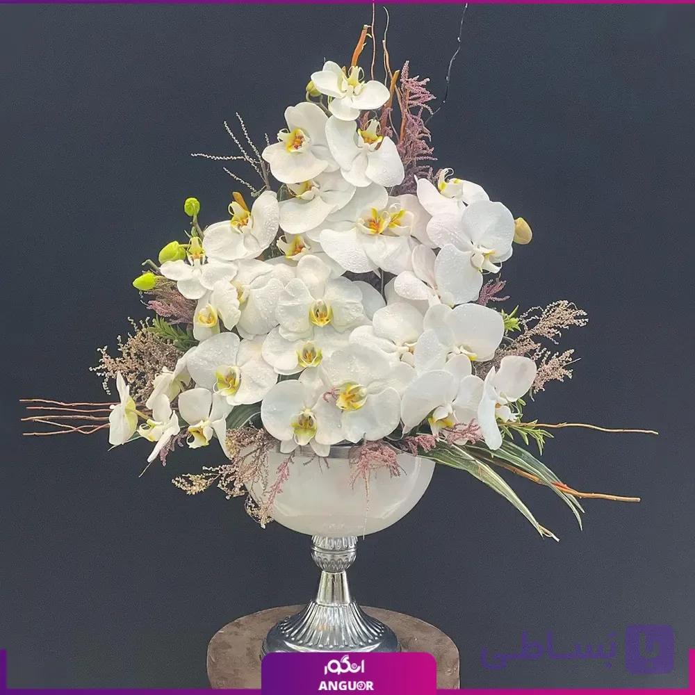 جام ارکیده گل پناه — تصویر 1