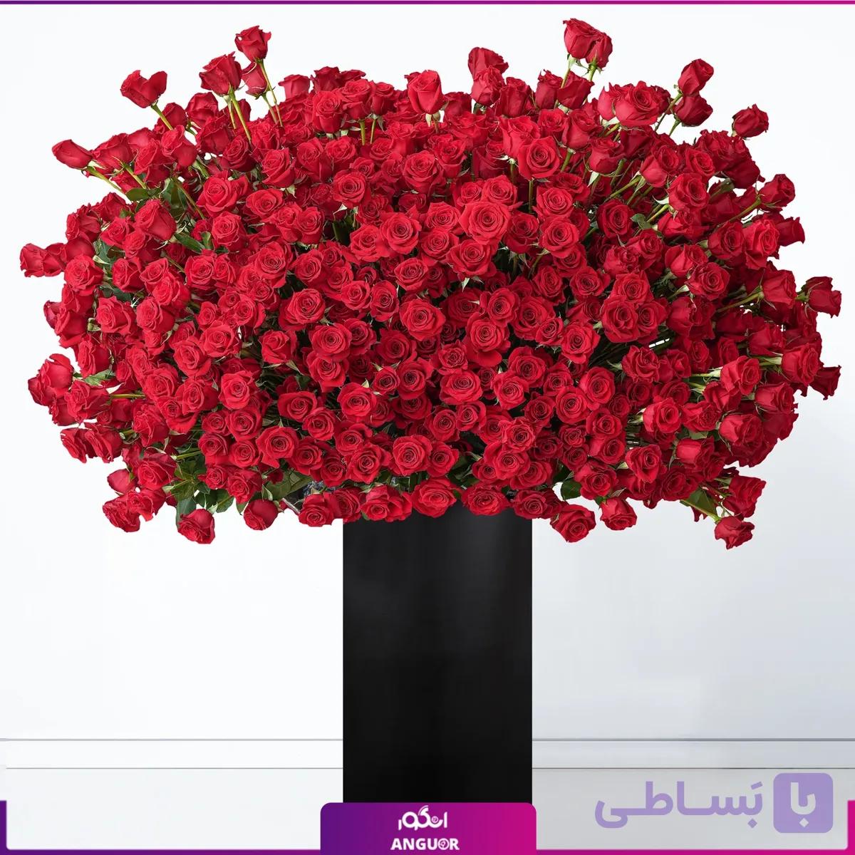 باکس گل 833 شاخه رز قرمز (طرح بین الملل کلاسیک) — تصویر 1