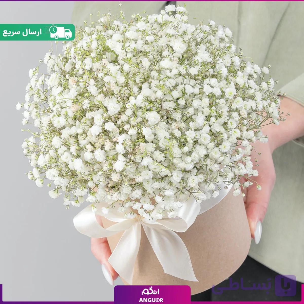 باکس گل ژیپسوفیلا سفید (گل عروس) — تصویر 1