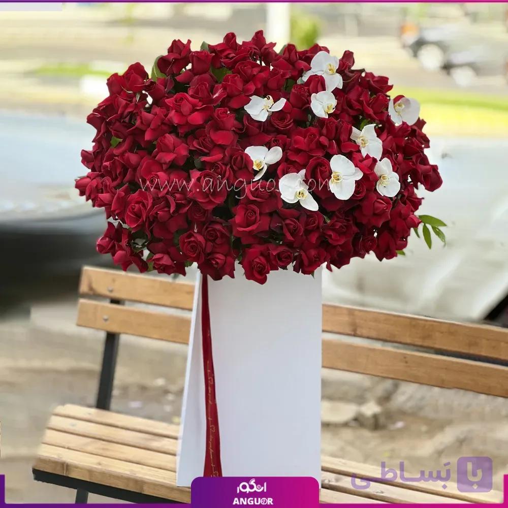 باکس گل 80 شاخه رز قرمز با ارکیده سفید