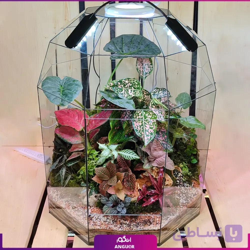 تراریوم بزرگ چندبعدی