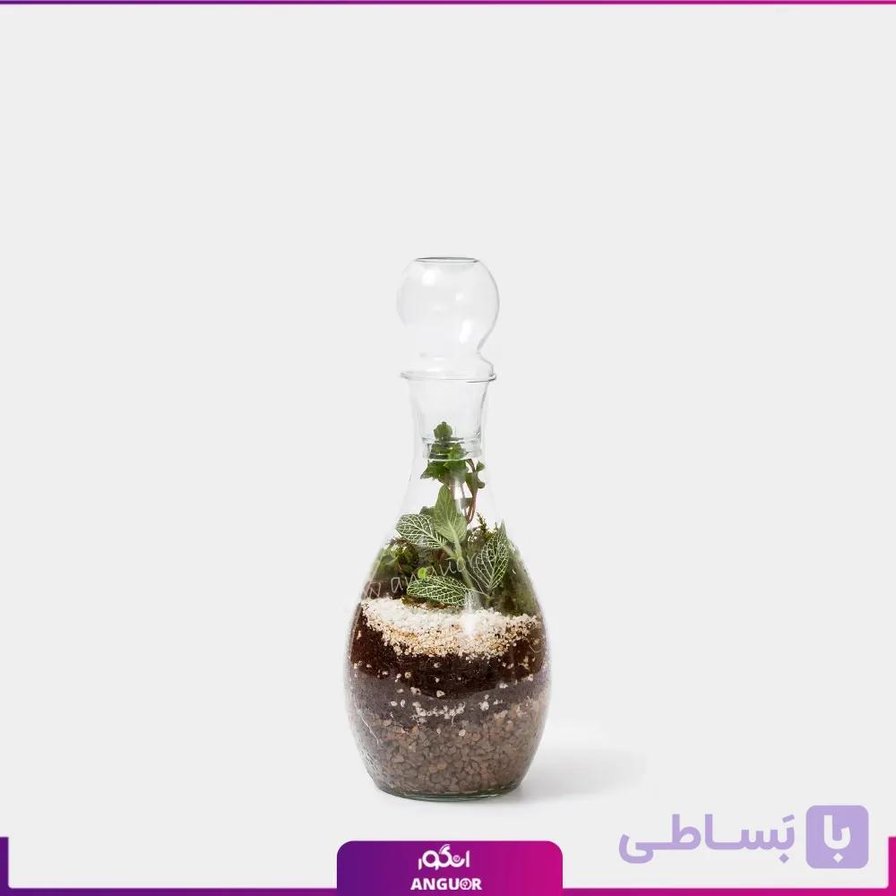تراریوم با بطری فرانسه