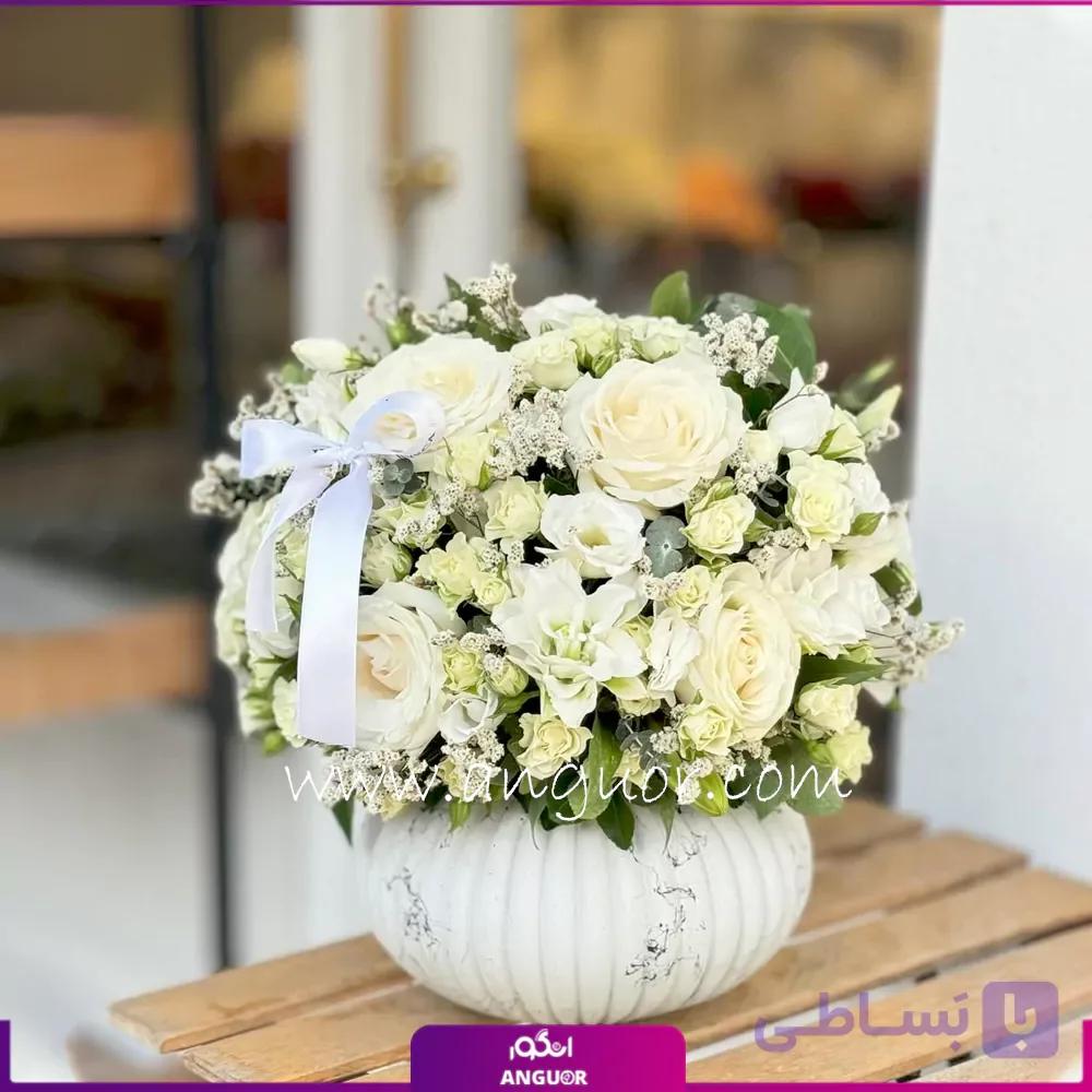 باکس گل ستاره سپید