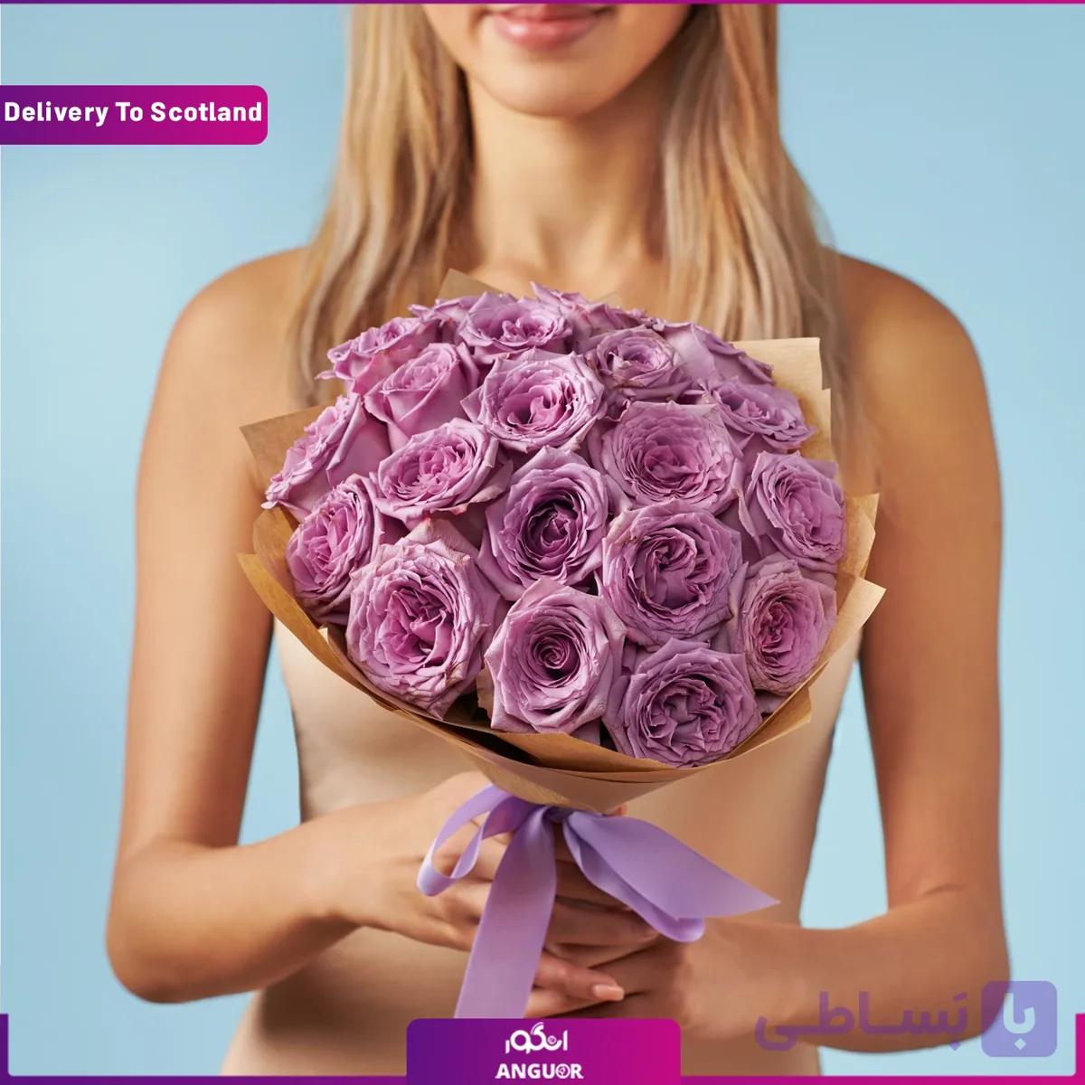 دسته گل 20 شاخه رز بنفش (تحویل در اسکاتلند)