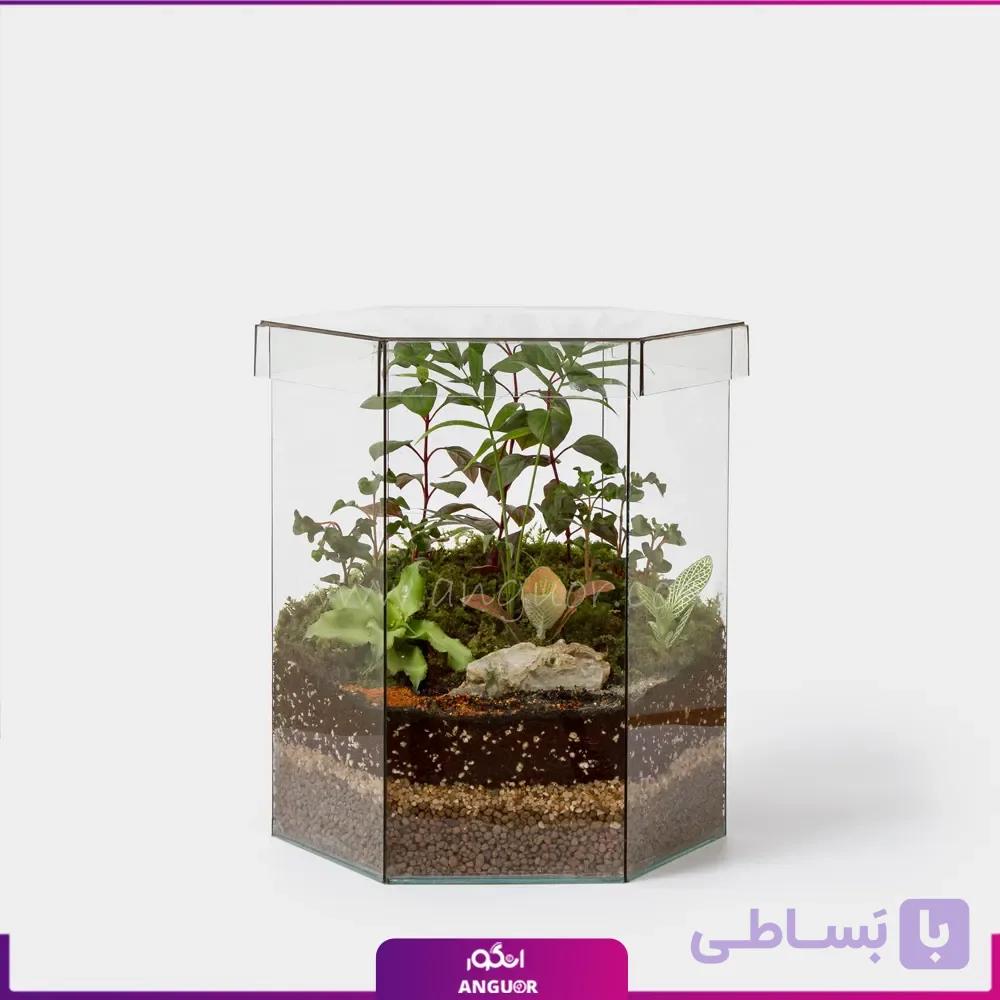 تراریوم شش ضلعی در دار