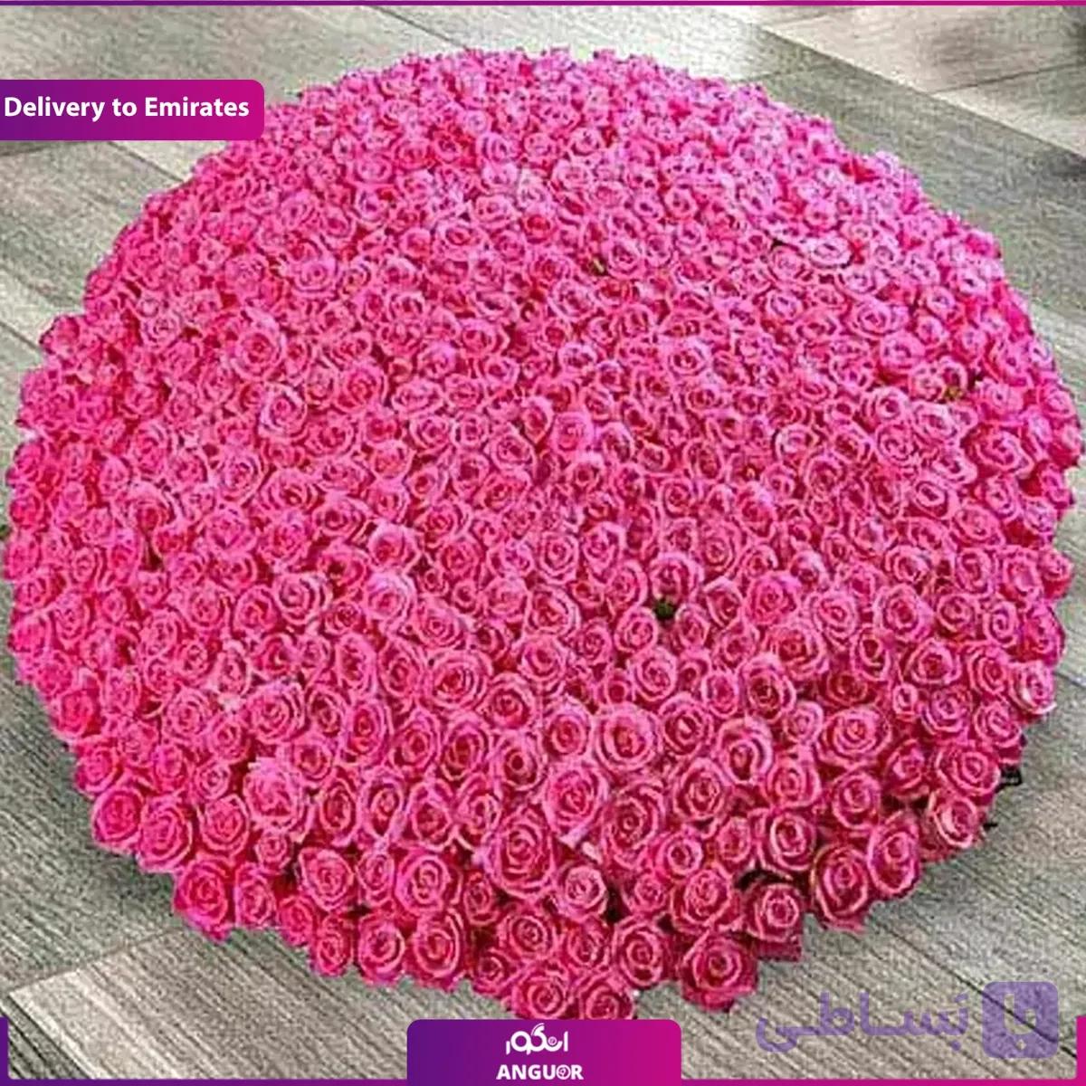 باکس گل رز 500 شاخه (تحویل در امارات)