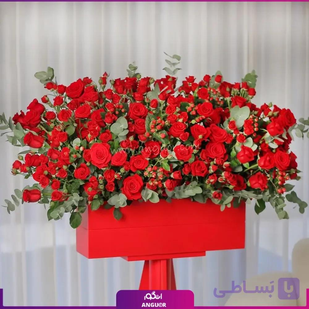 باکس یک بغل رز — تصویر 1
