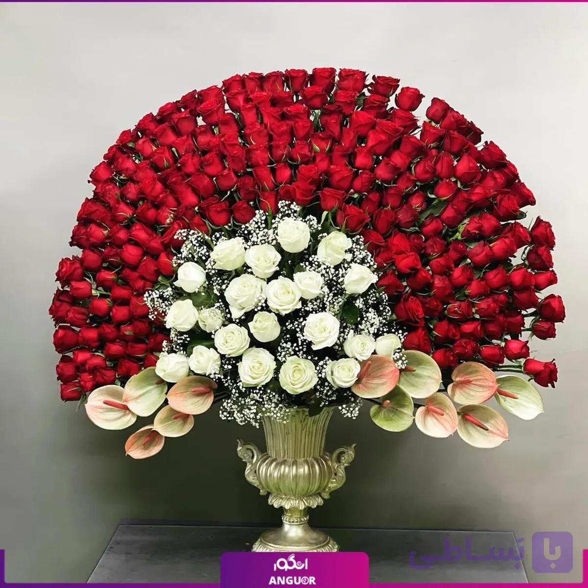 جام گل لاکچری 190 شاخه رز قرمز به همراه آنتوریوم