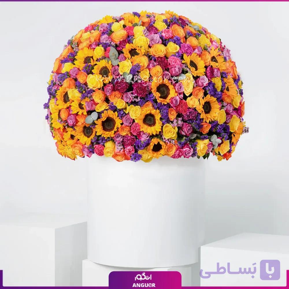 باکس گل آغاز درخشان