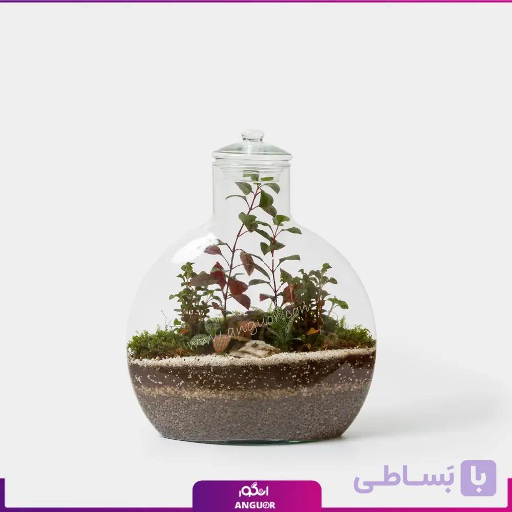 تراریوم آنتالیا