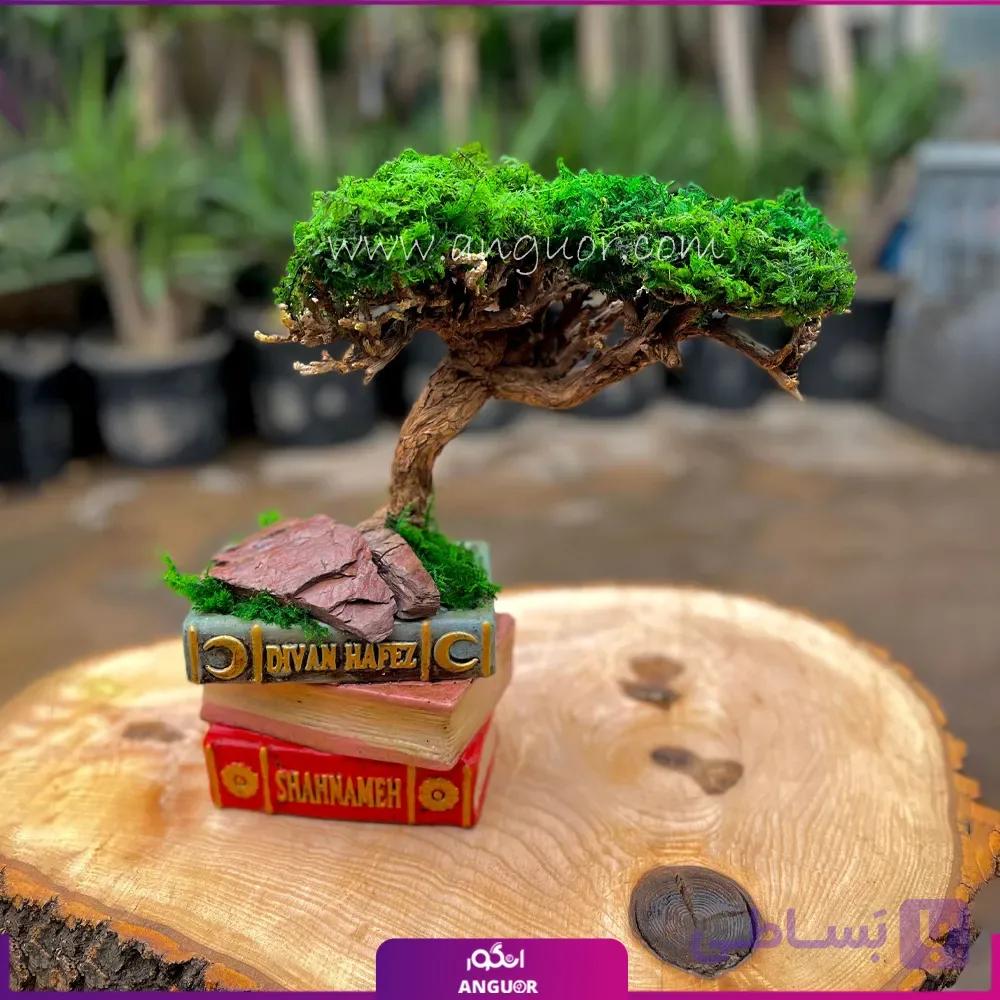 گیاه بونسای (مدل کتابی سوپر)
