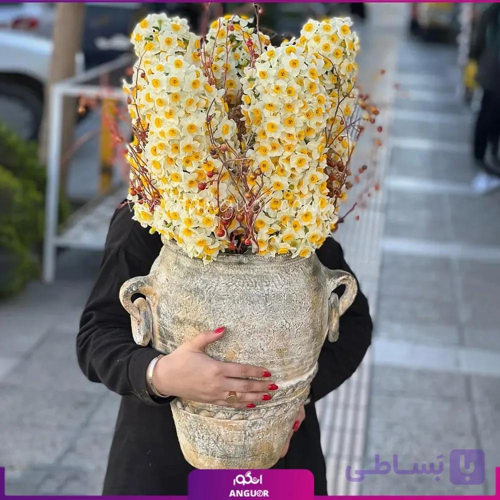 500 شاخه گل نرگس با گلدان
