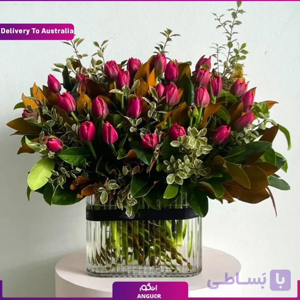 (Delivery in Australia) VIP TULIP VASE