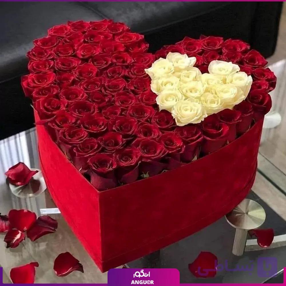 باکس گل قلبی رز گوهرناز