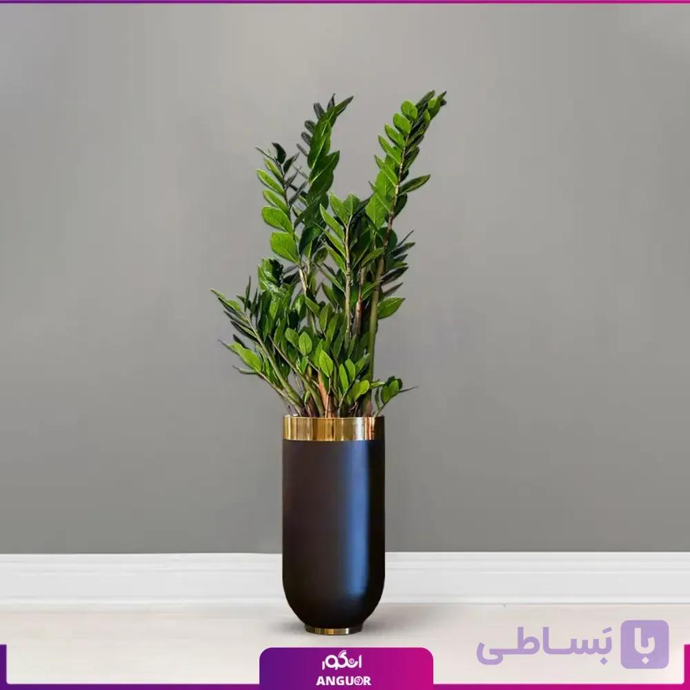 گلدان هدیه VIP فایبرگلاس با زاموفیلیا سبز — تصویر 1