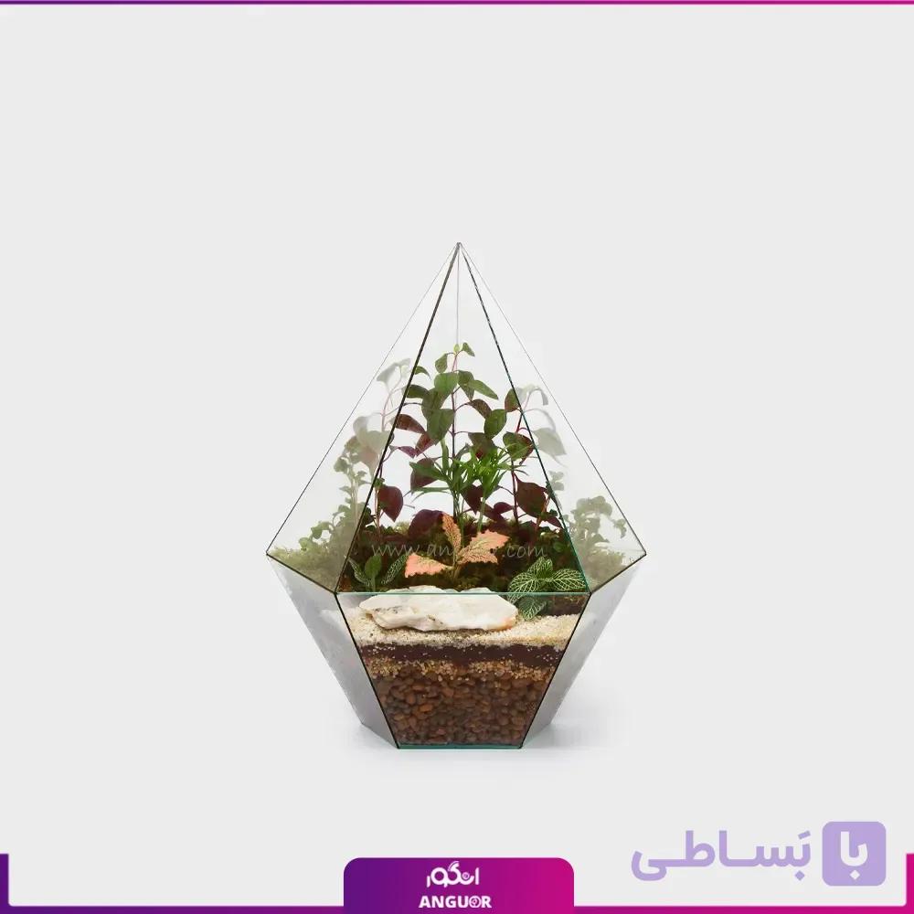 تراریوم الماسی مثلث