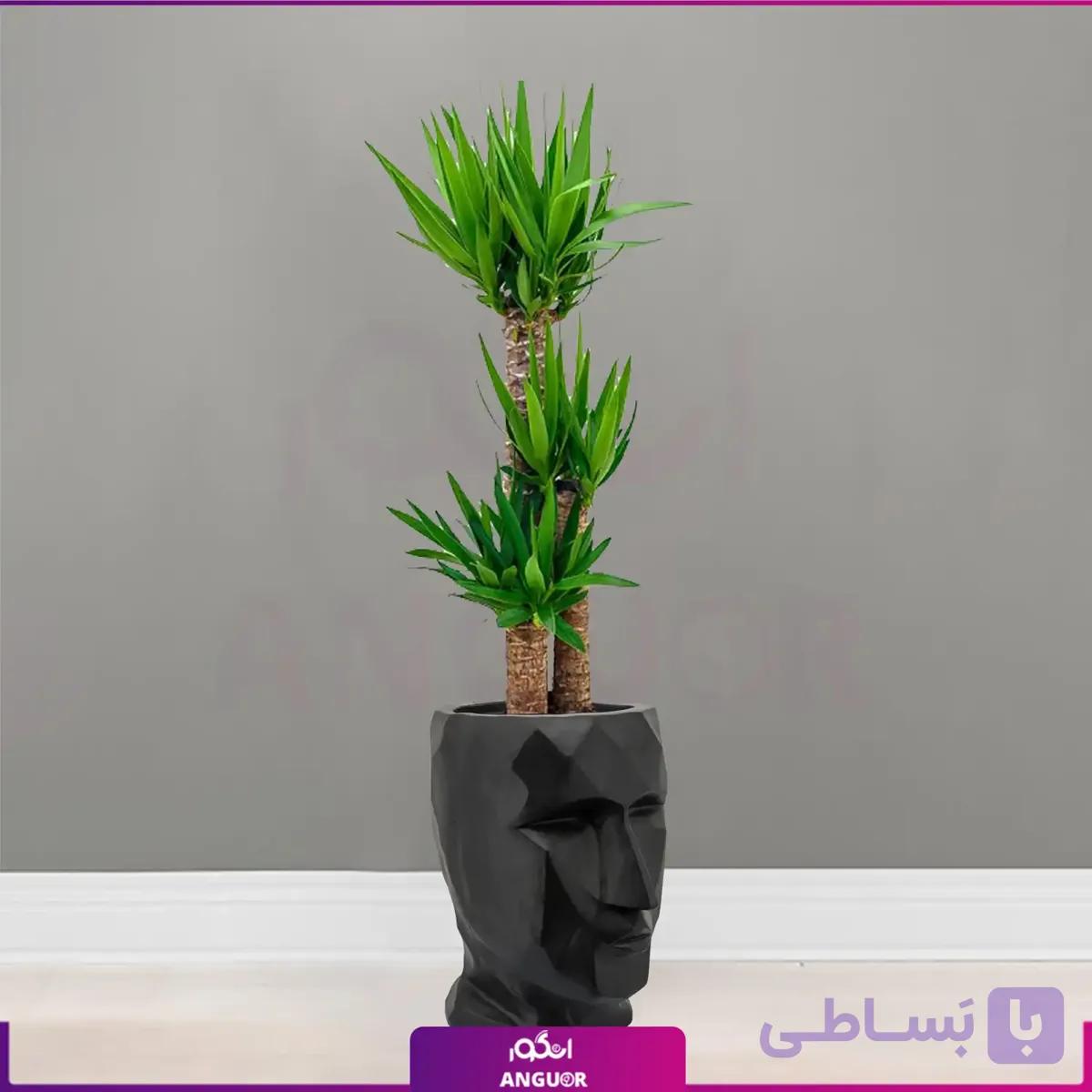 گلدان دکوراتیو طرح چهره manface با یوکا سه شاخه (گلدان هدیه لوکس) — تصویر 1