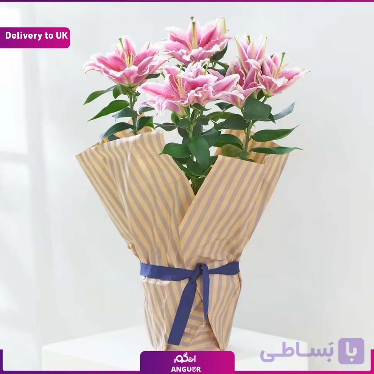 گیاه اوریانتال (Delivery to UK)