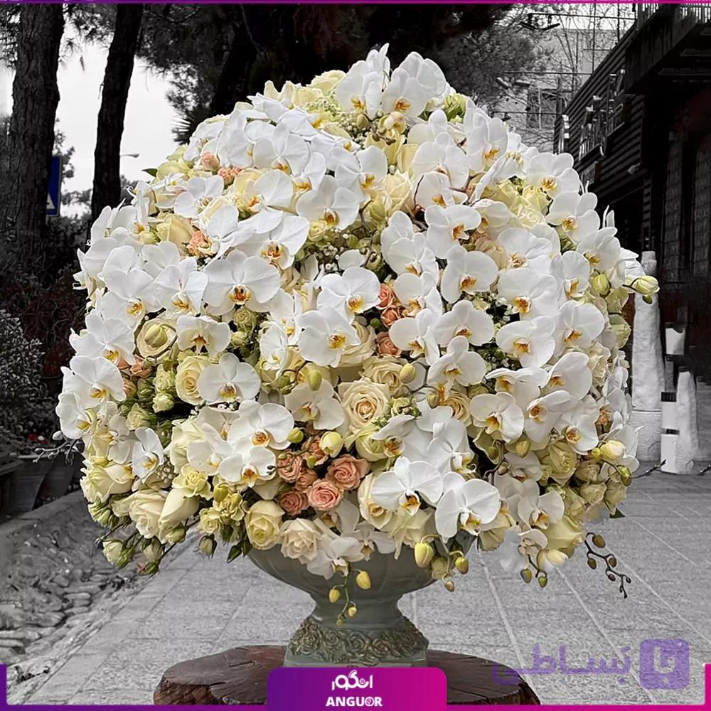 جام گل آغاز خوشبختی
