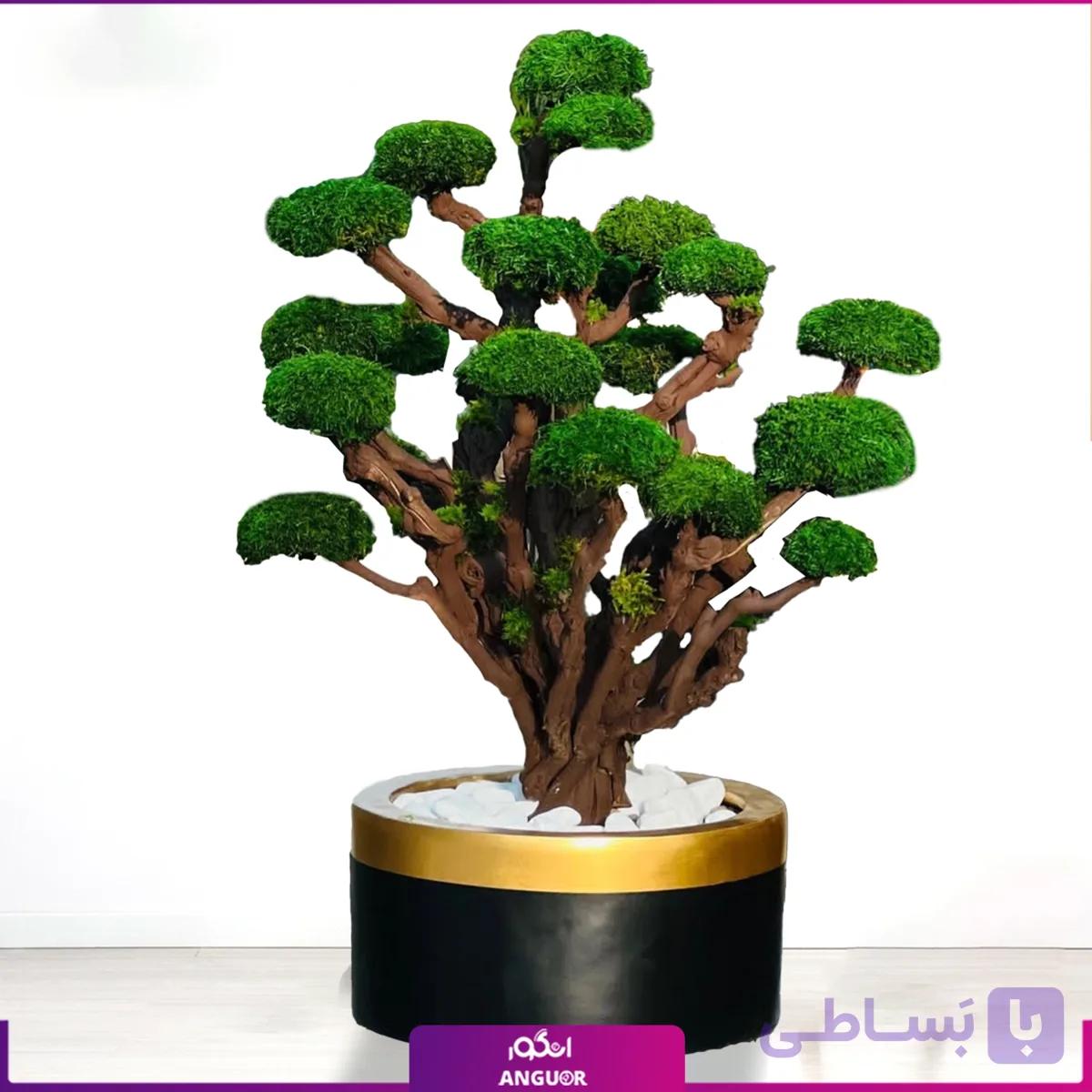 بونسایی درخت جاودان با گلدان فایبرگلاس