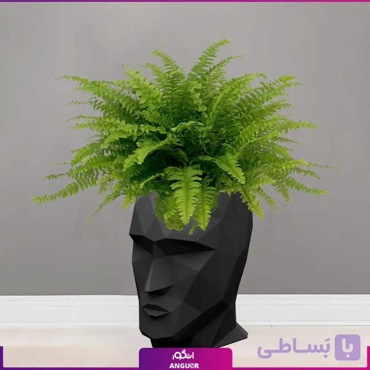 گلدان طرح چهره manface همراه سرخس برگ شمشیری — تصویر 1