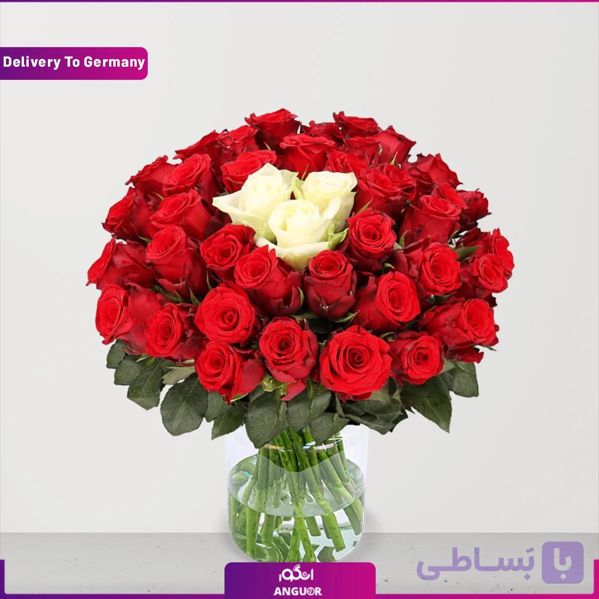 دسته گل 49 شاخه رز (قرمز، سفید و صورتی) – آلمان