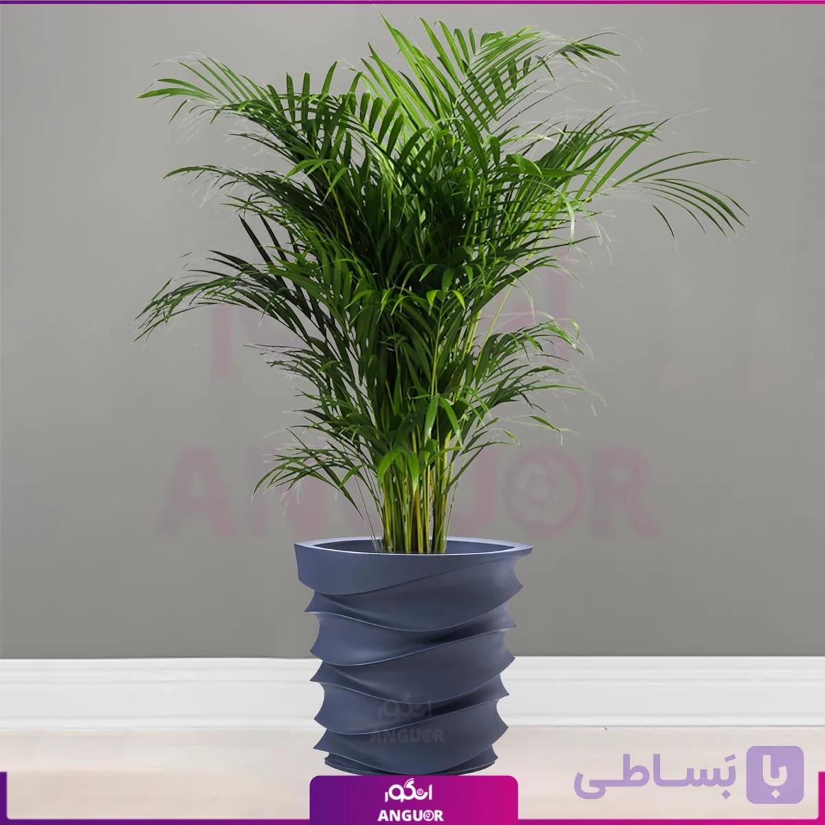 گلدان فایبرگلاس طرح Crescent با نخل اریکا — تصویر 1