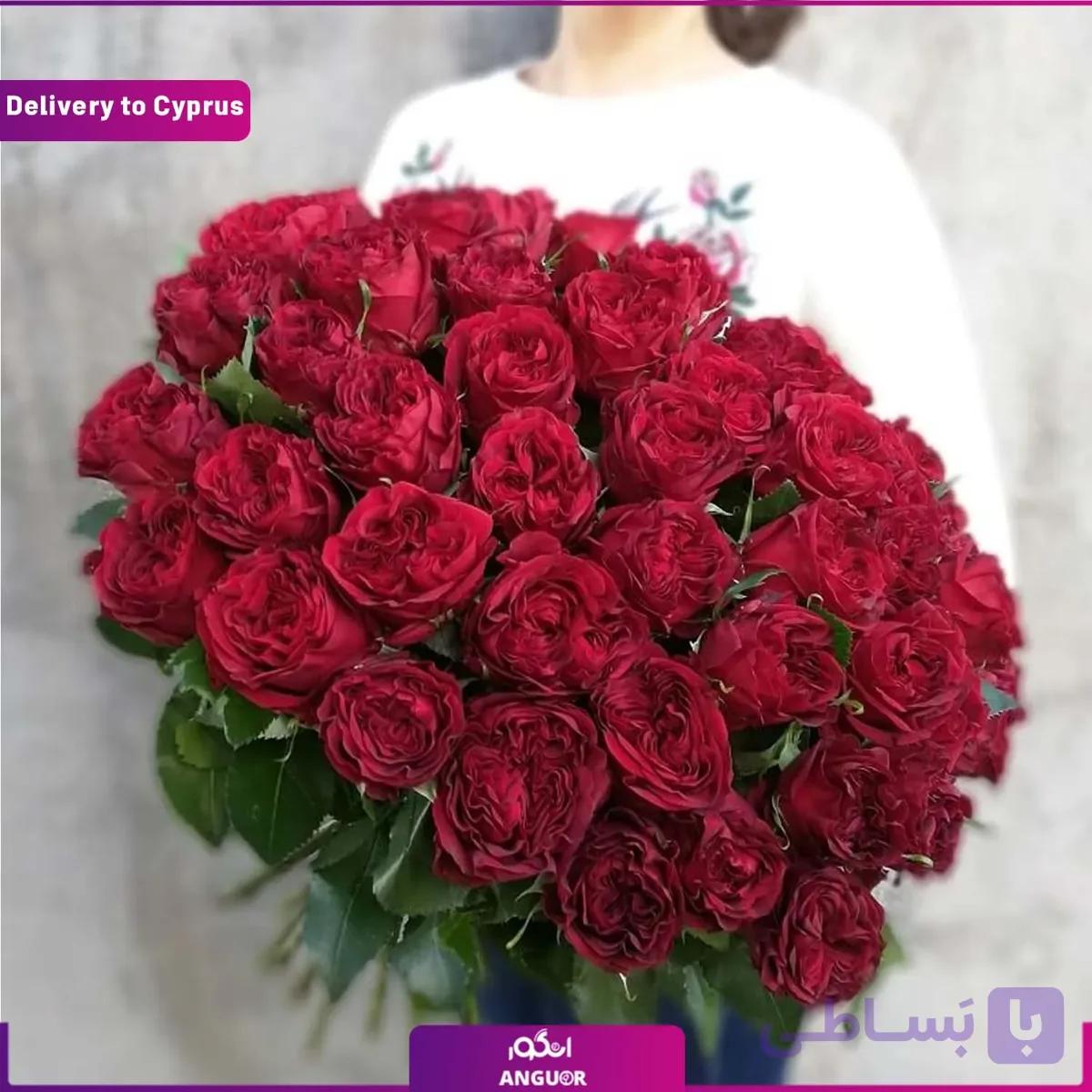 دسته گل رز 51 شاخه (ارسال گل به قبرس)