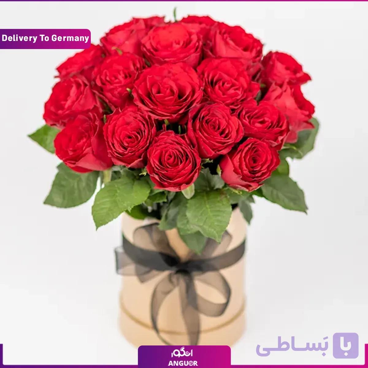 باکس قرمز با رز قرمز 20 شاخه (ارسال گل به آلمان)