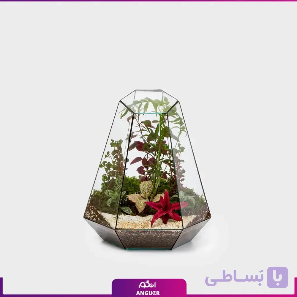 تراریوم ویکتوریا
