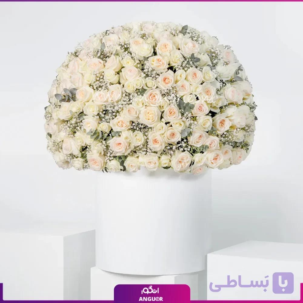 باکس گل رز رویای عاشقانه
