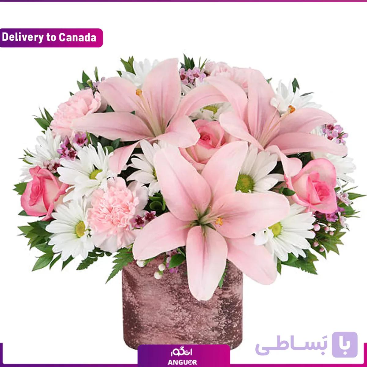 باکس گل فصل پر برکت (ارسال گل به کانادا)