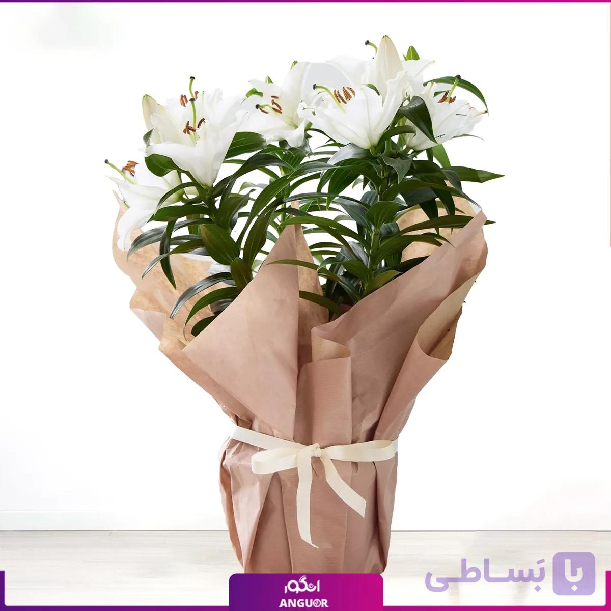 گلدان هدیه لیلیوم سفید