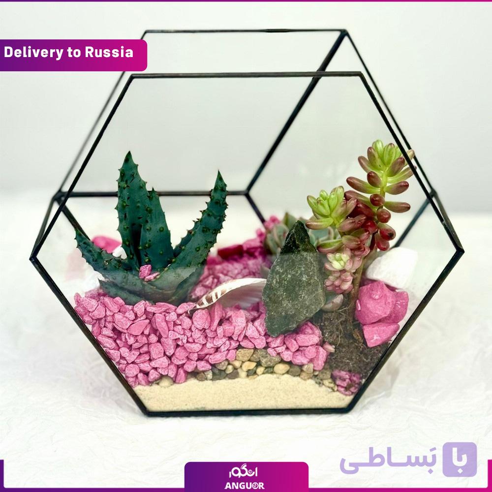 تراریوم شیشه ای (ارسال گل به روسیه)